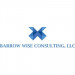 Barrow Wise Consulting, LLC logo