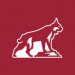 California State University - Chico logo