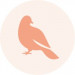 Paloma logo
