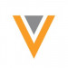 Veeva System logo